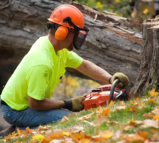 tree services Caro